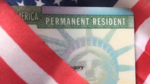 La más reciente versión de la green card tiene varios colores, predomina...
