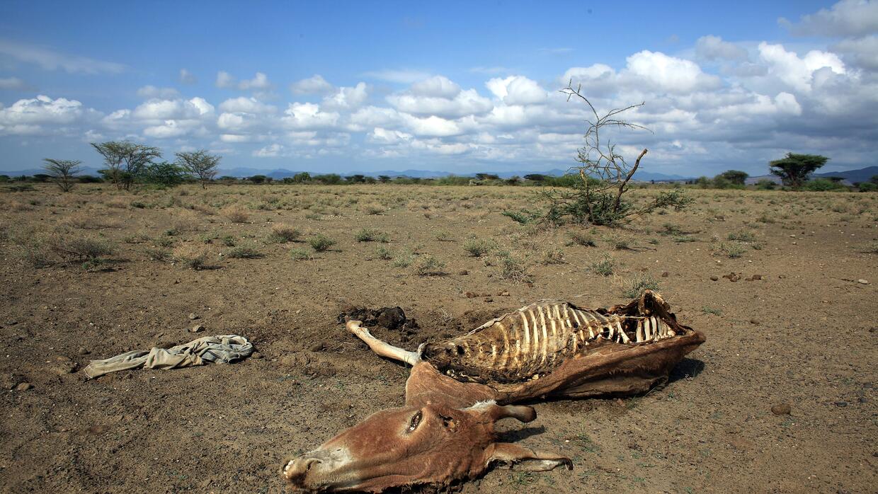 Las sequías en el este de África se han agravado por el cambio climático