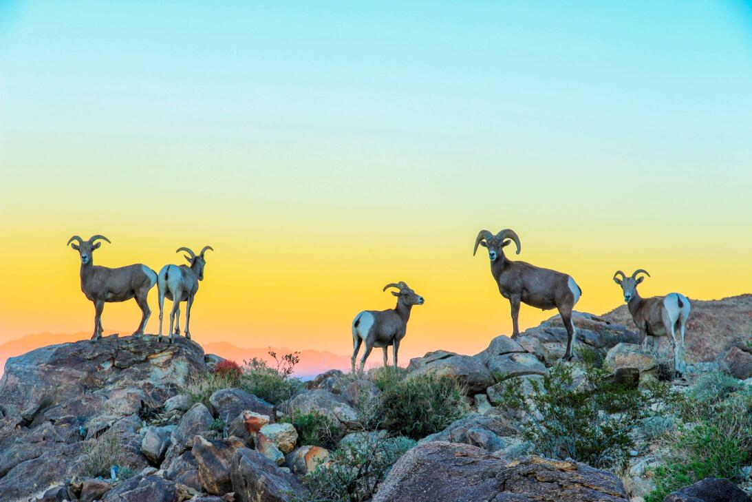 El segundo lugar del concurso ha sido para Koustubh Kulkarni por su foto...