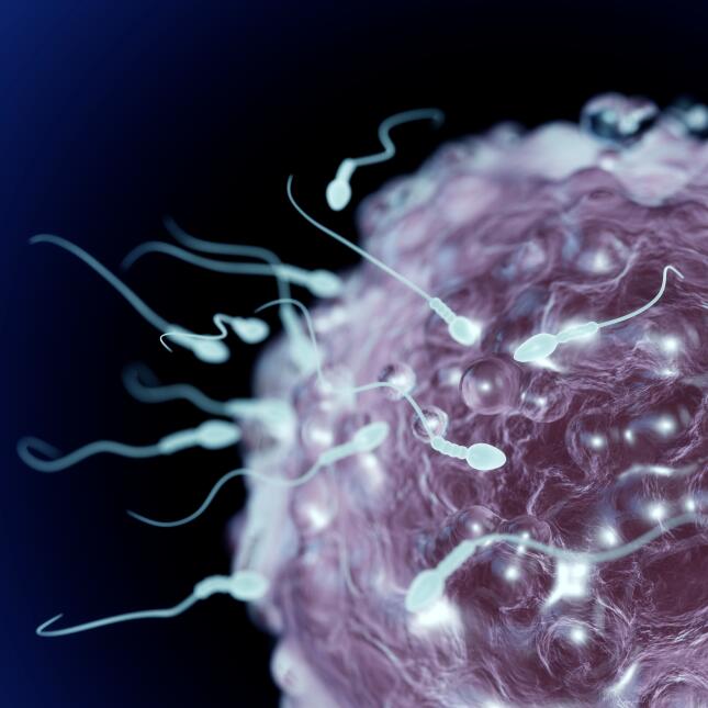 salud infertilidad