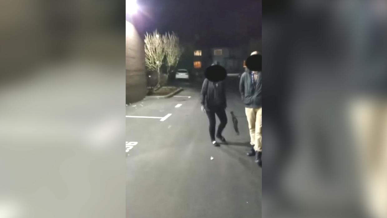 Videos de Primer Impacto Univision