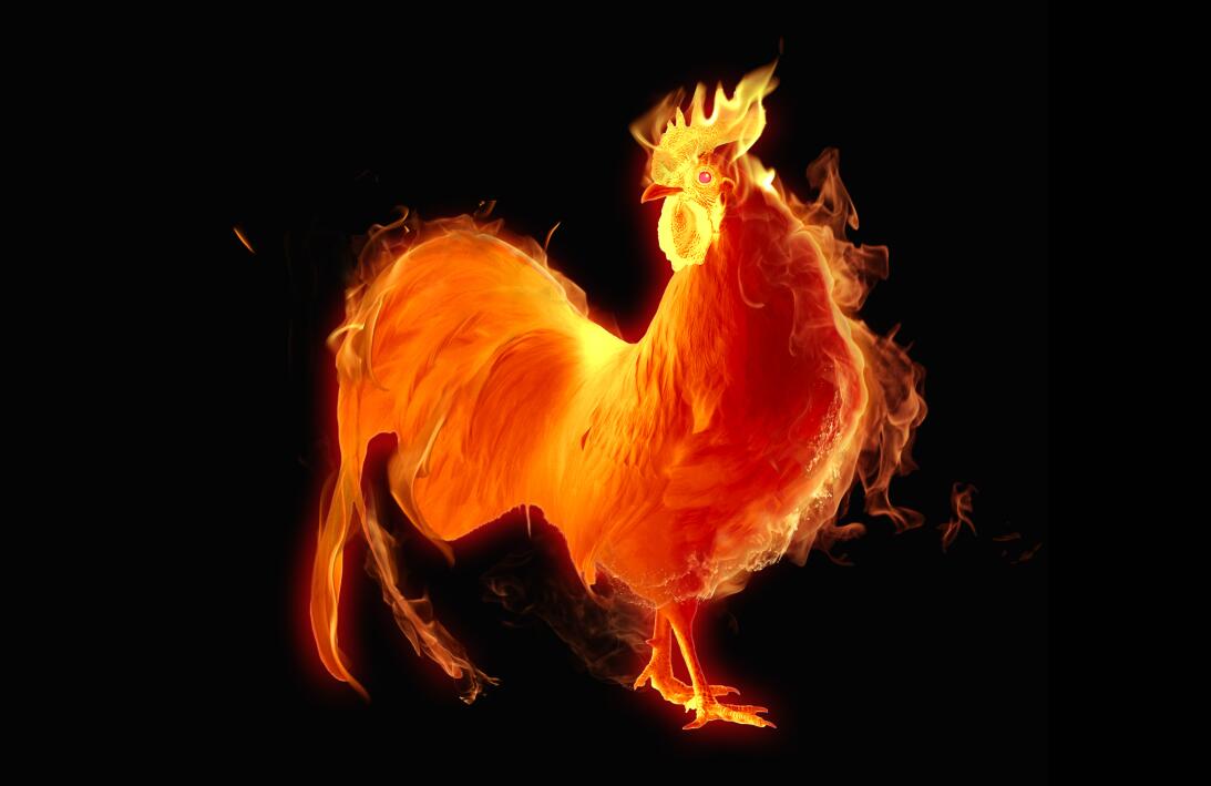 Año del Gallo de Fuego