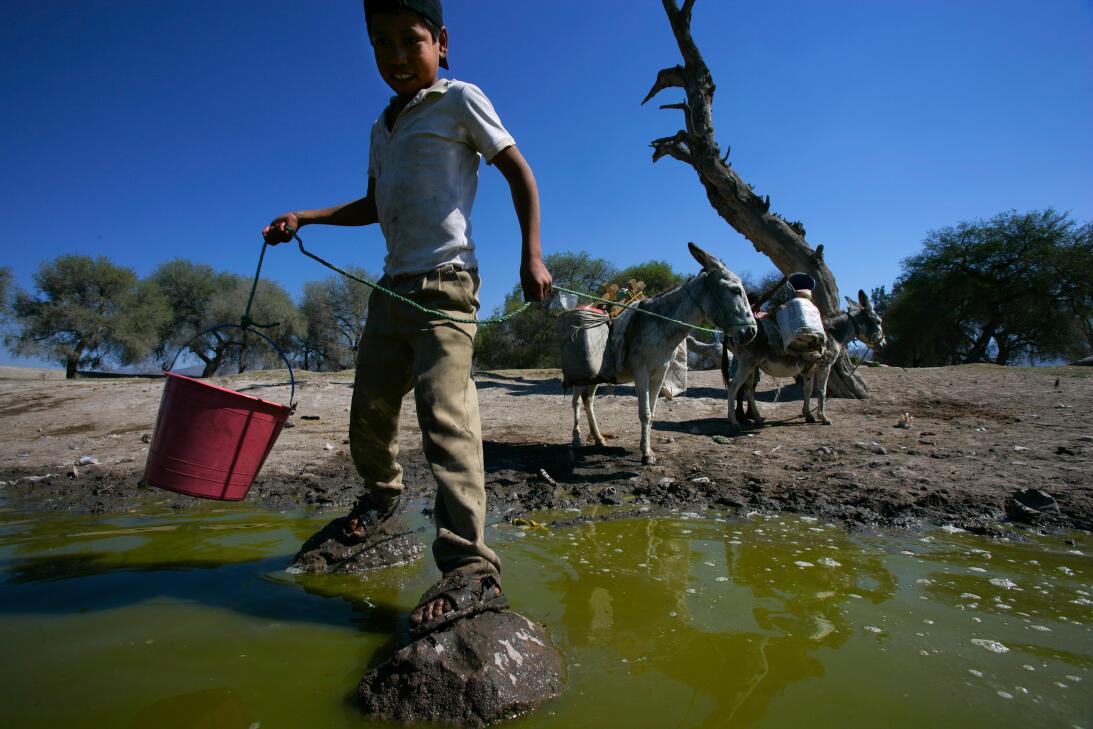 Semana del agua