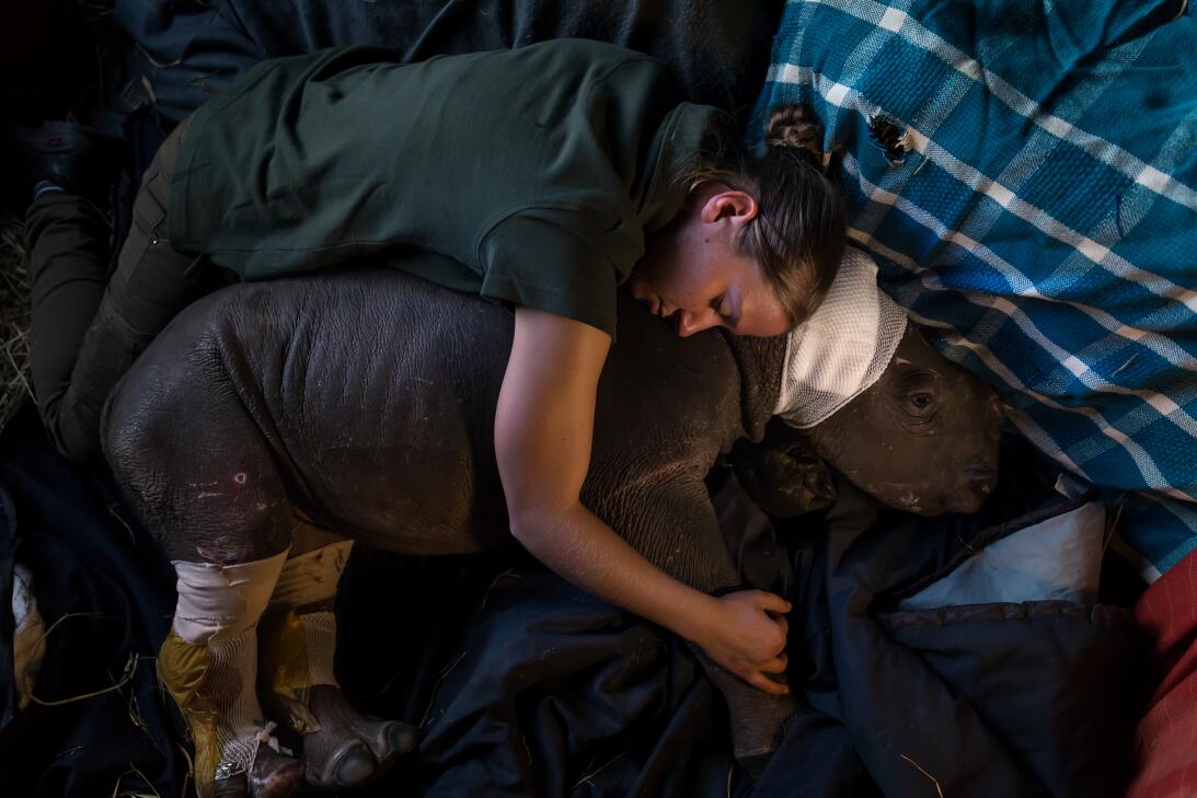 World Press Photo