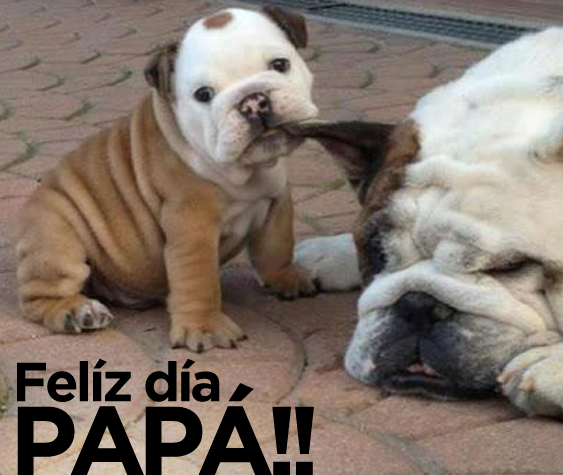 Memes Día del Padre