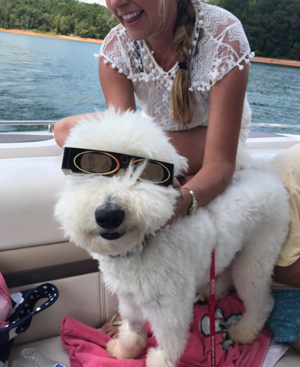 "Leo está listo para el eclipse", dice esta usuaria en...