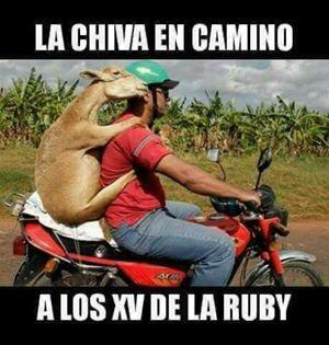 Los mejores memes (y alguno muy malo) de Rubí 15400905_856072431161922_5...