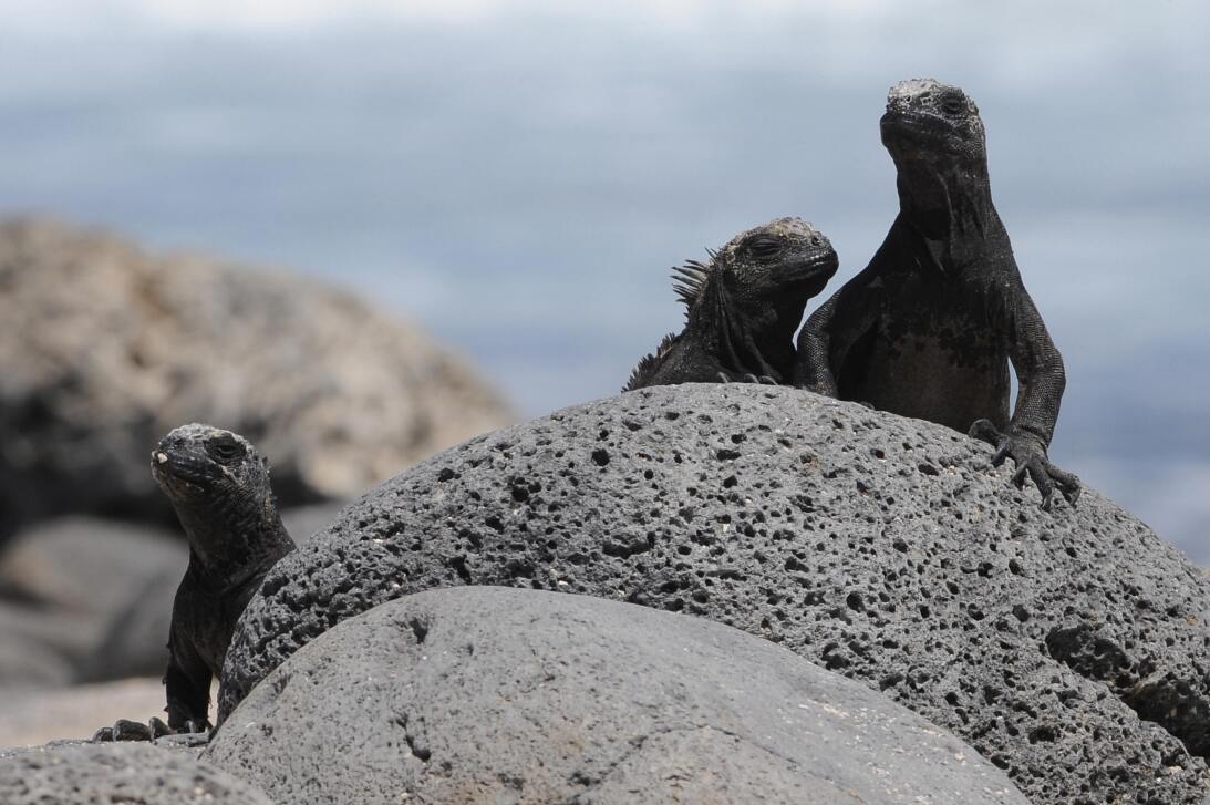 En fotos: Los lugares que deberías visitar antes de que el cambio climát...