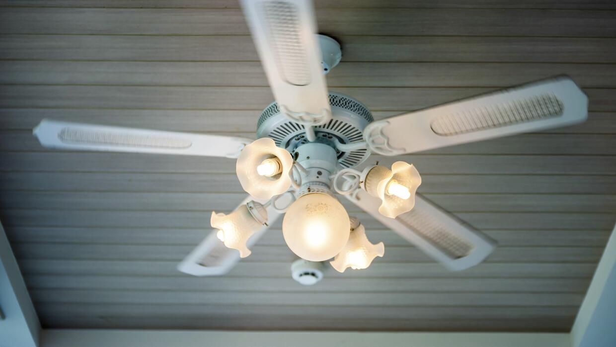 Cinco 'tips' para elegir tus abanicos de techo - Univision