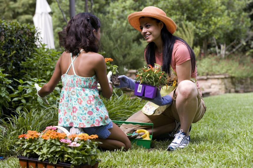 Fertilizante orgánico