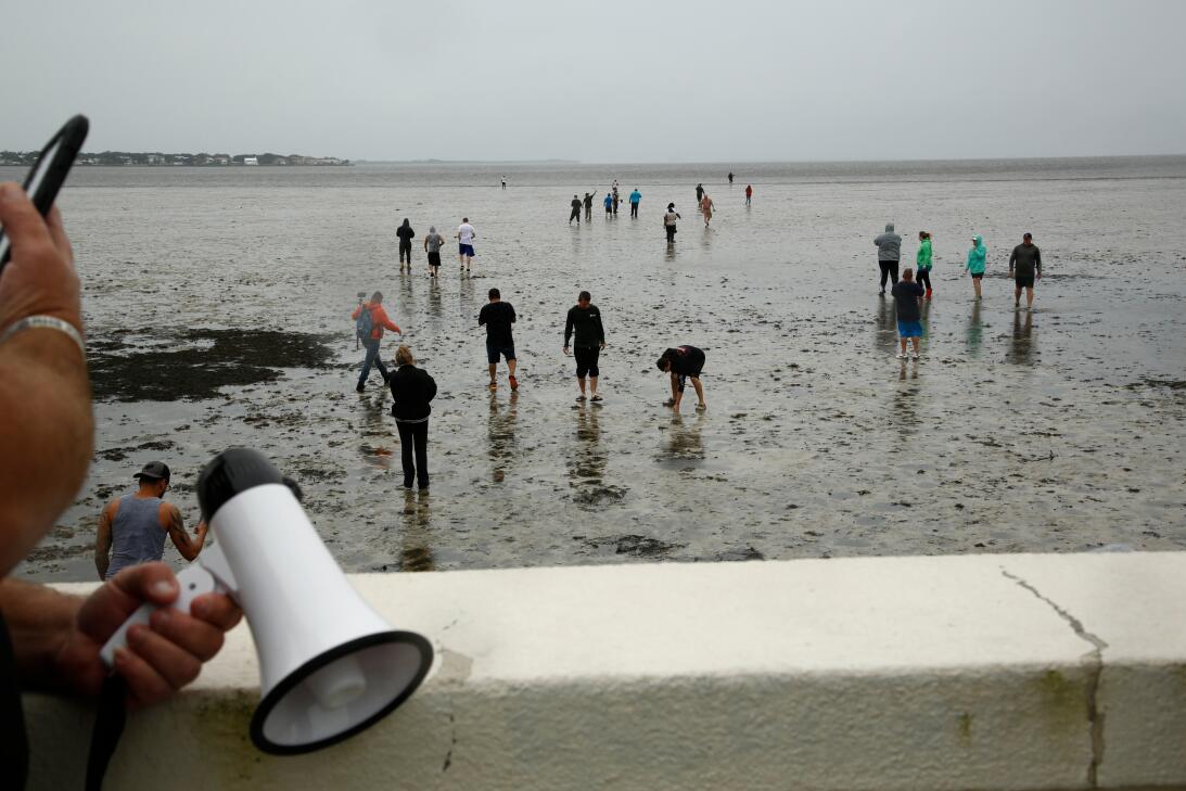 Bahía de Tampa sin agua por el huracán Irma